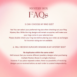 *WEBSITE EXCLUSIVE* Earrings Mystery Box