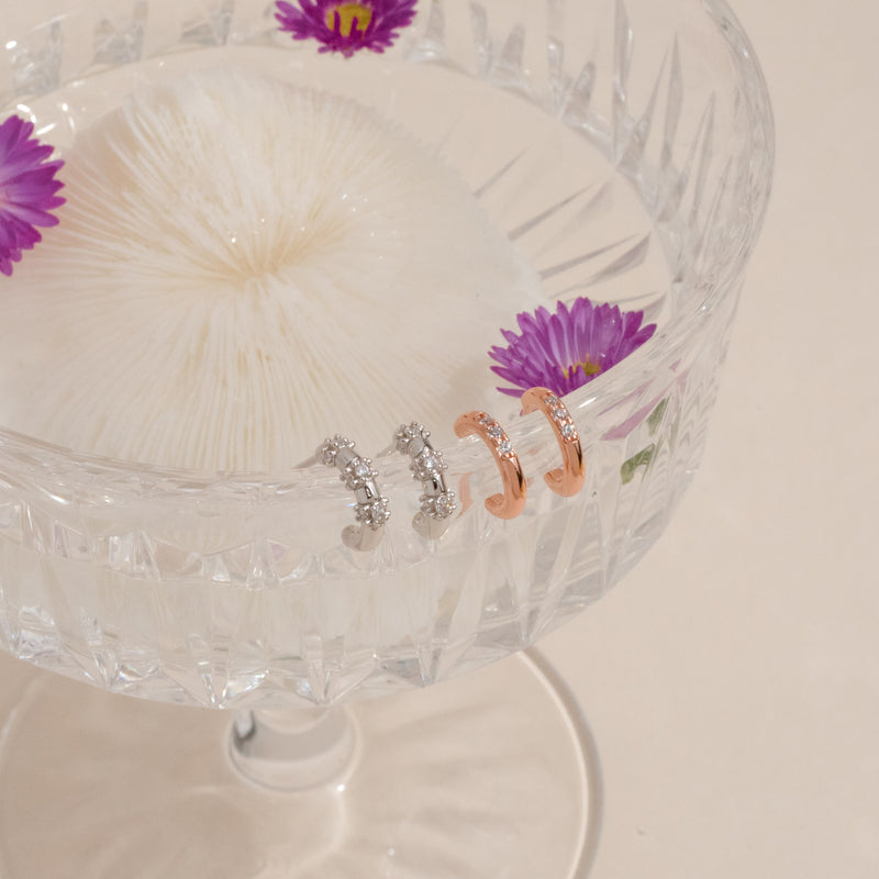 Brett Cubic Earrings.