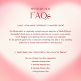 *WEBSITE EXCLUSIVE* Earrings Mystery Box